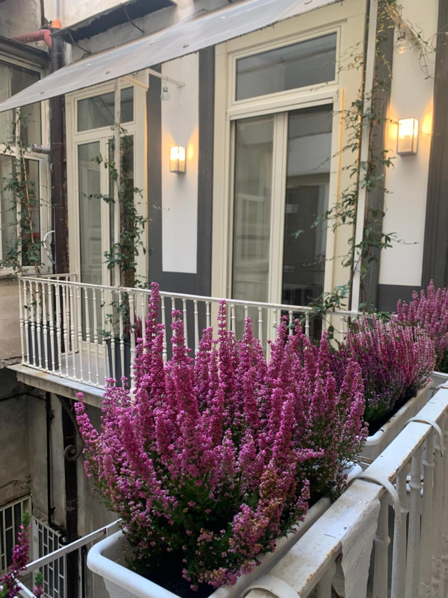 Appartamento Casa Orlanda Napoli Esterno foto